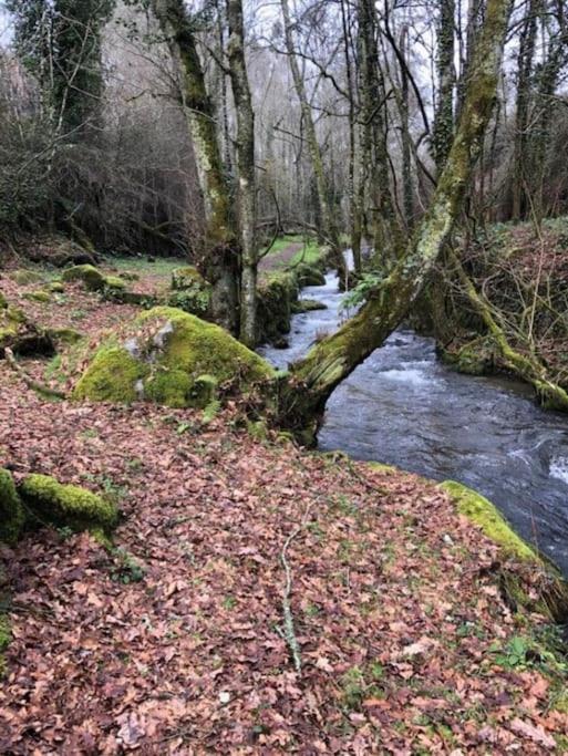 Casinha Estrela Da Encosta - Geres Villa Vieira do Minho Eksteriør bilde